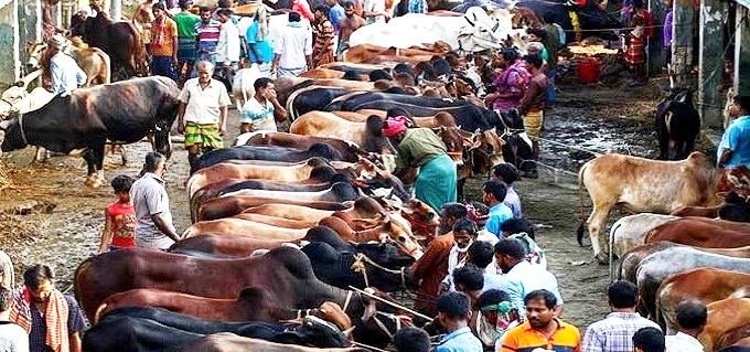 ৭৭ লাখ টাকা কম ,তাতে কি?