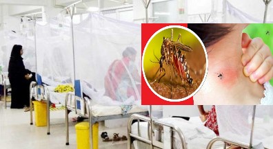 ১৫৪ কোটি খরচ মশা মারতে, সুফল শূন্যের ঘরে।