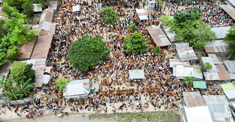 ড্রোন দিয়ে হাট বাজারে নজরদারি